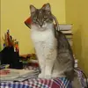 Отзыв от Полина Данилова
